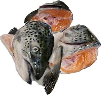 Congo Atlantic Salmon Heads (3 per bag)
