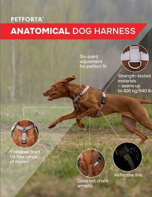 PETFORTA Anatomical Dog Harness