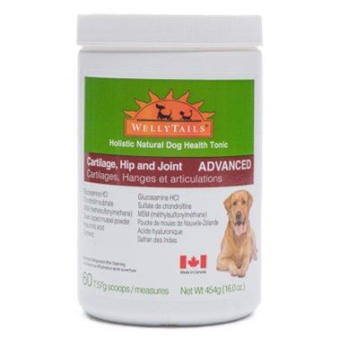 Wellytails Cartilage And Hip And Joint Rx Dog 454g