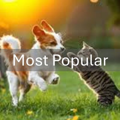 Most Popular