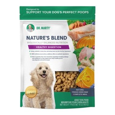 Dr. Marty Nature’s Blend Healthy Digestion – 454g