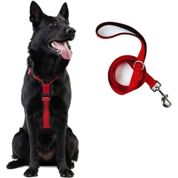 PETFORTA Anatomical Dog Harness &amp; Leash Set, Colour: Red, Size: XSmall