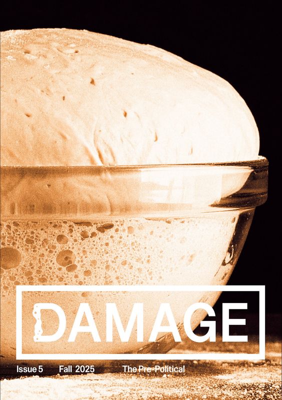 Damage Issue 5: The Pre-Political
