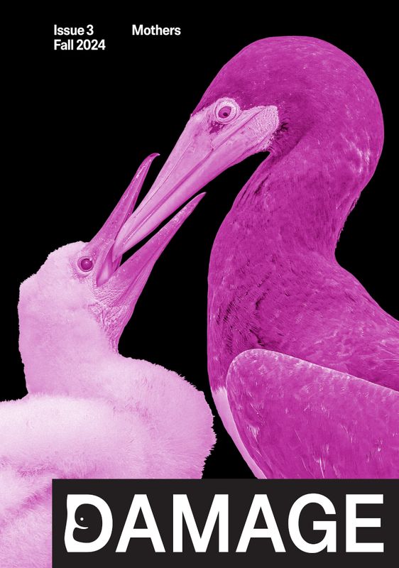 Damage Issue 3: Mothers