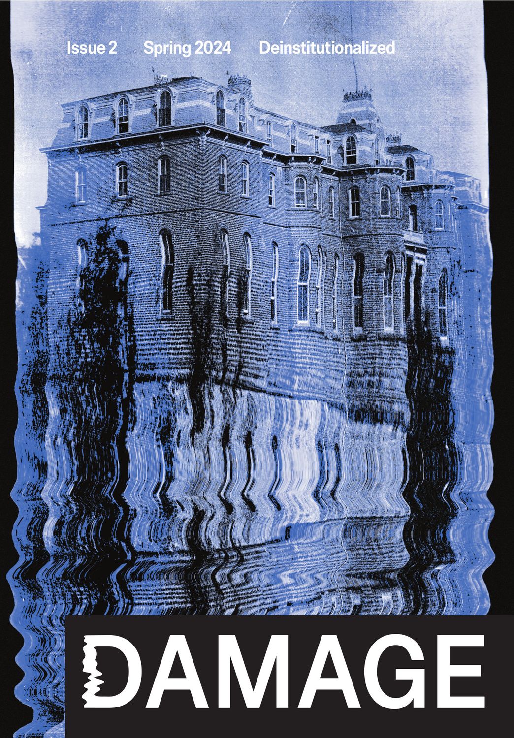 Damage Issue 2: Deinstitutionalized