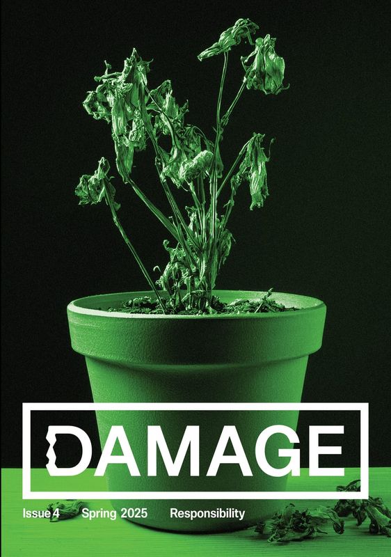 Damage Issue 4: Responsibility