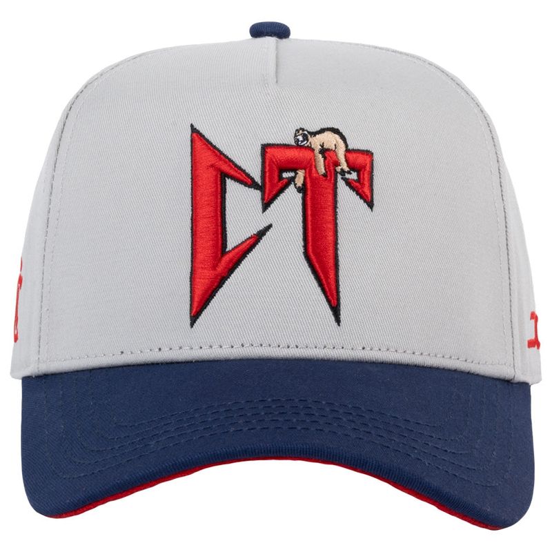 JC HATS CT GRAY NAVY  