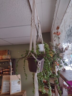 Macrame Plant Hanger - Diamond