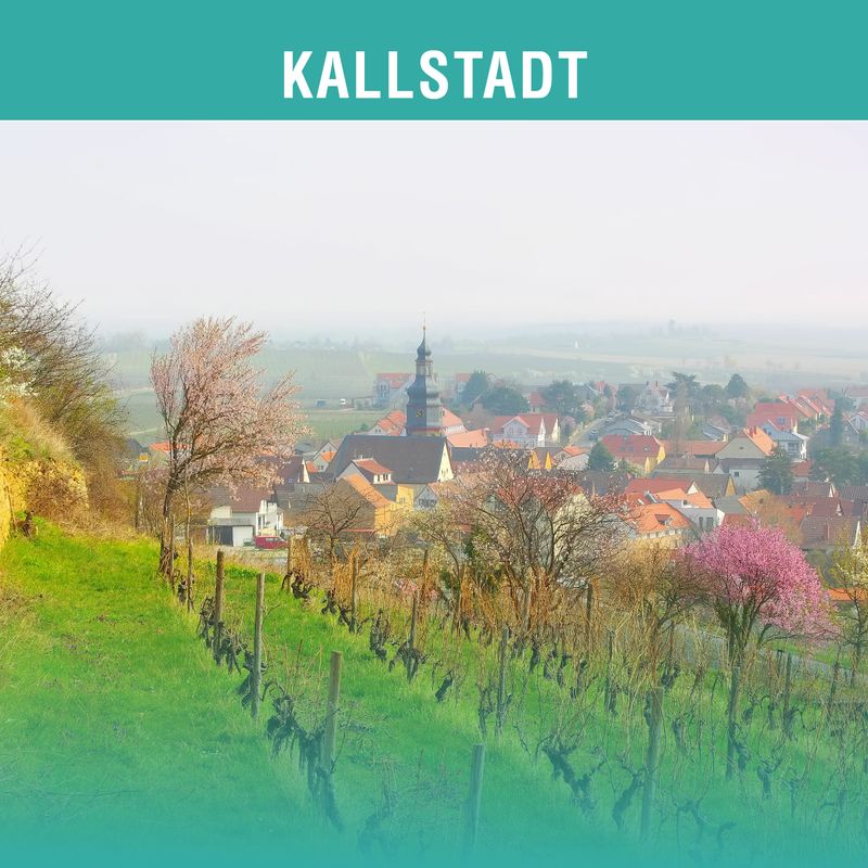 MDI HANDS-ON 2-TAGES-FORTBILDUNG