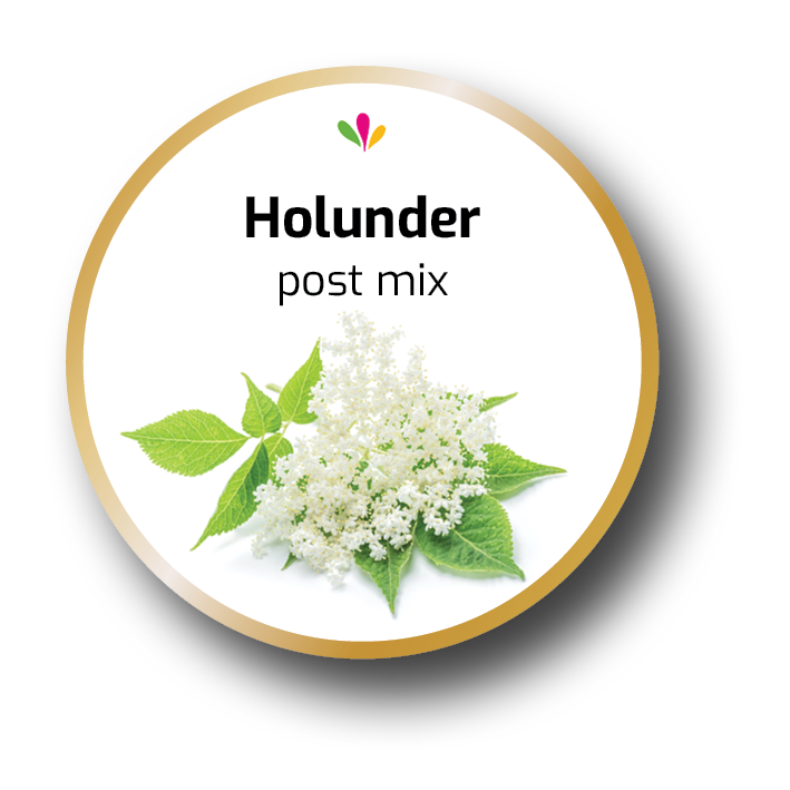 PostMix Sirup – "Holunder"