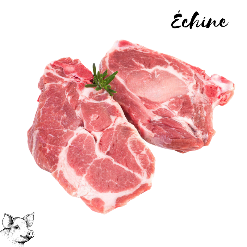 Echine
