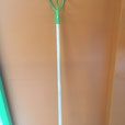 Binette verte