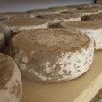 La tomme  des Bauges AOP