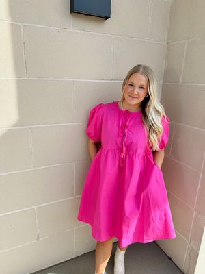 Hudson Mini Dress