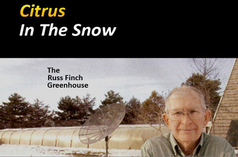 Citrus In The Snow: Finch Report (2025 Update)