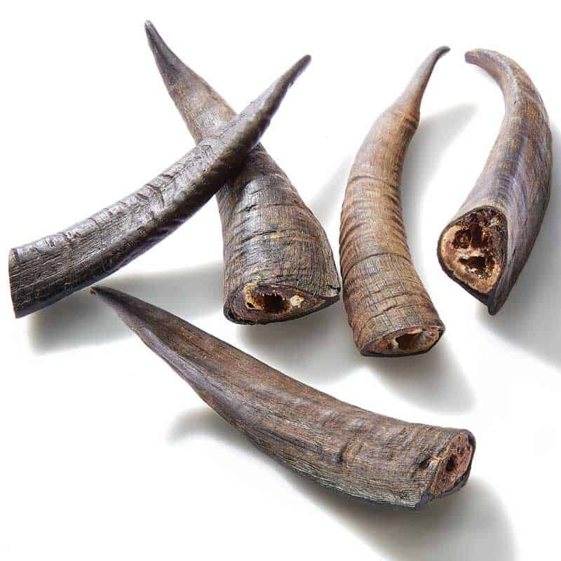 Goat Horn (Medium)