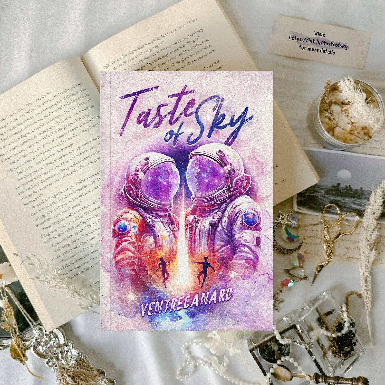 Taste of Sky (Paperback)