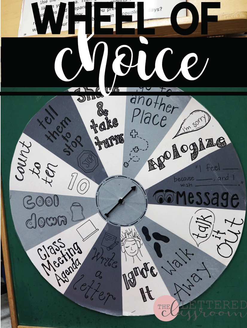 Wheel of Choice Behavior Wheel