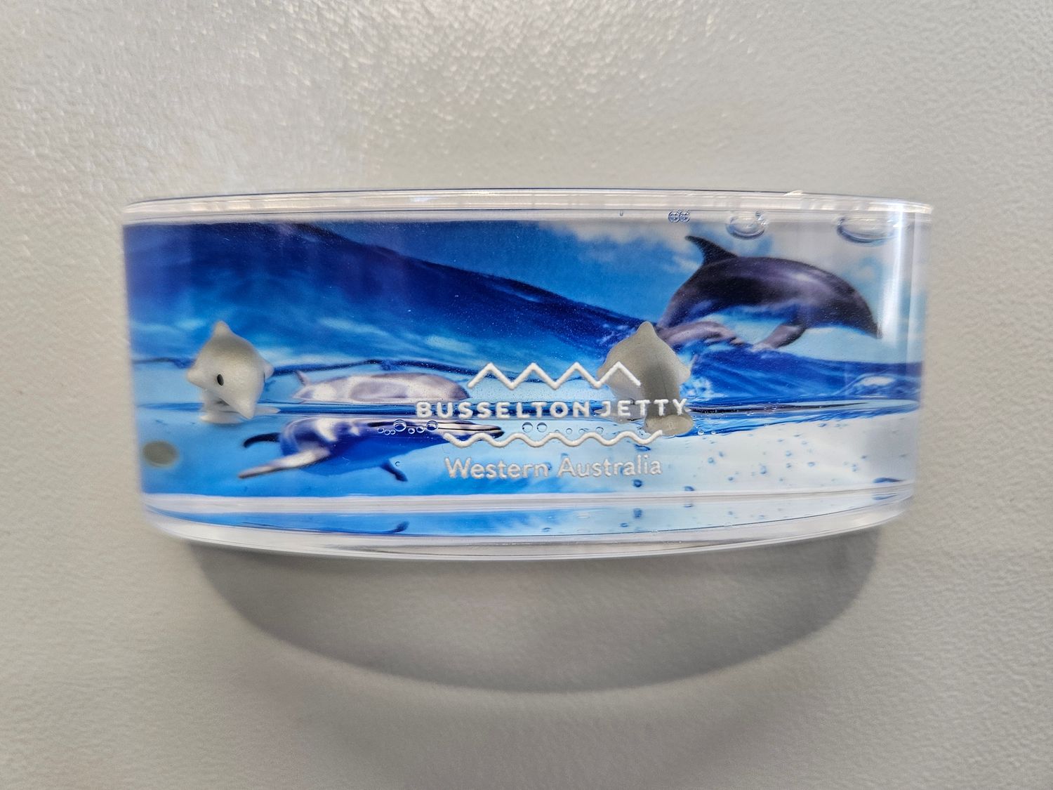 Magnet Floater Curved Marine Creatures