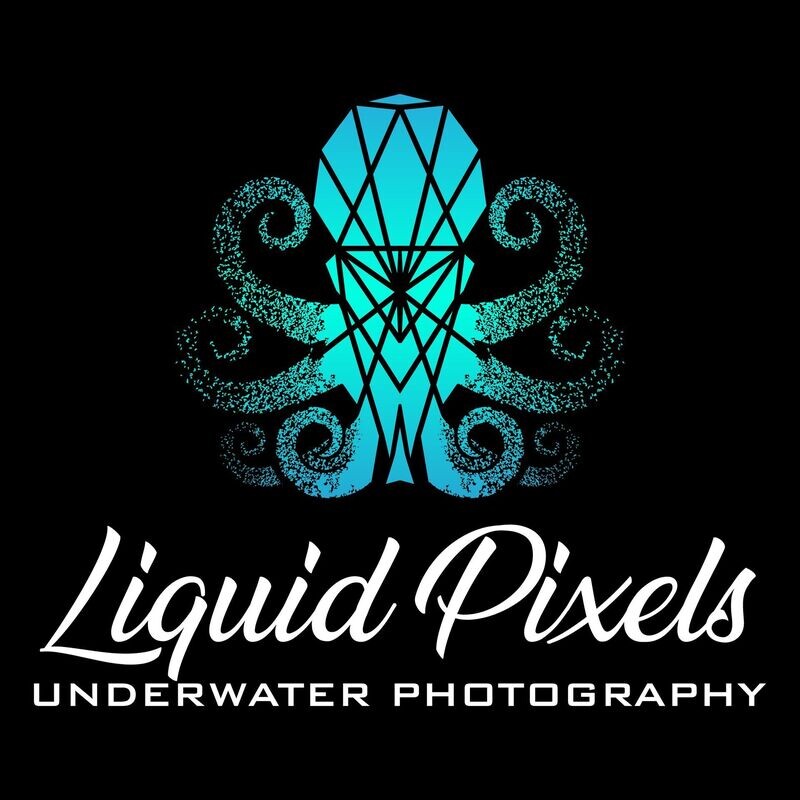 Printing Services