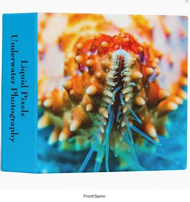 Customizable 5 Subject 3 Ring Binder