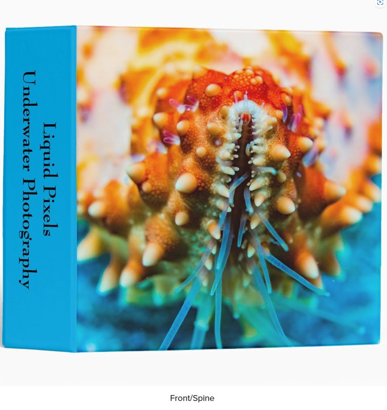 Customizable 5 Subject 3 Ring Binder