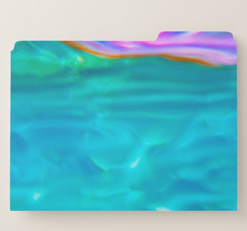 Document Folder, Surface Reflections of Blue Heron Bridge