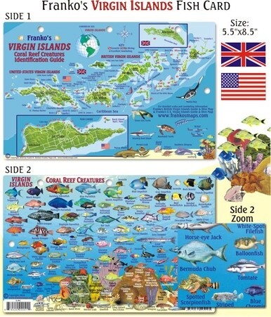 Franko Maps - Virgin Islands Fish ID