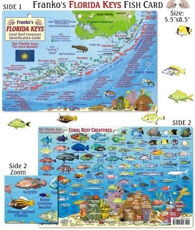 Franko Maps - Florida Keys Reef Creatures Fish ID