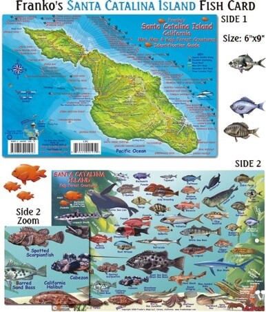 Franko Maps - Santa Catalina Island Fish ID