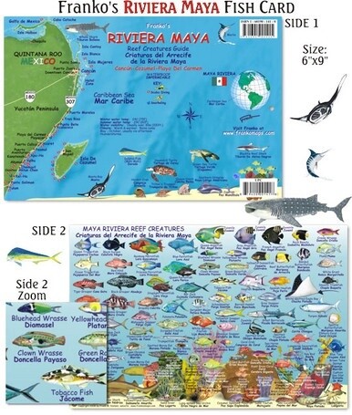 Franko Maps - Riviera Maya Reef Fish ID