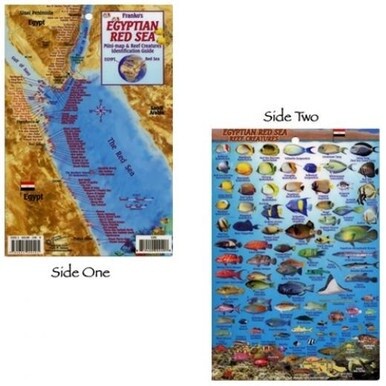 Franko Maps - Egyptian Red Sea Guide &amp; Fish ID