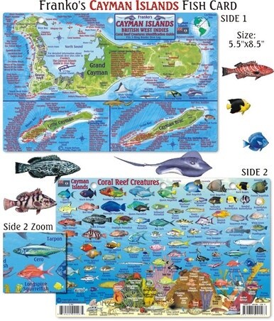 Franko Maps - Cayman Islands Reef Fish ID