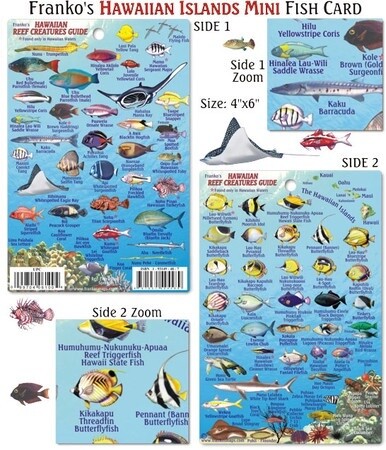 Franko Maps - Mini Hawaiian Reef Fish ID