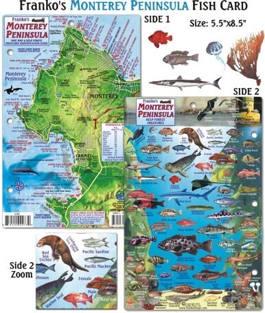 Franko Maps - Monterey Peninsula Fish ID