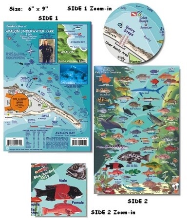 Franko Maps - Avalon Underwater Park Fish ID