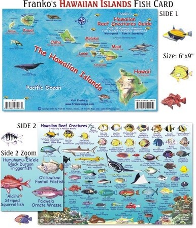Franko Maps - Hawaiian Islands Reef Fish ID