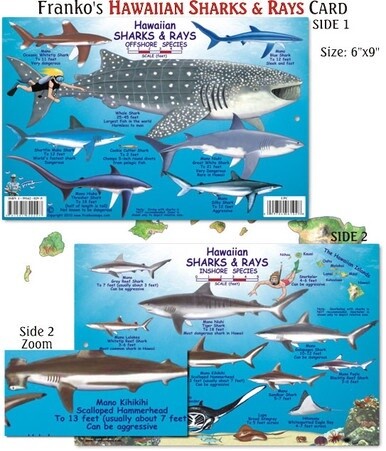 Franko Maps - Hawaiian Shark and Ray Fish ID