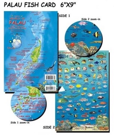 Franko Maps - Palau Fish ID