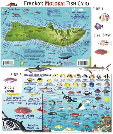 Franko Maps - Molokai Reef Fish ID