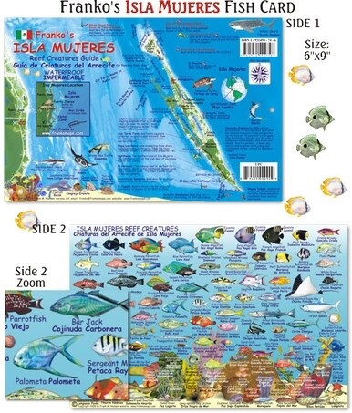 Franko Maps - Isla Mujeres Reef Fish ID