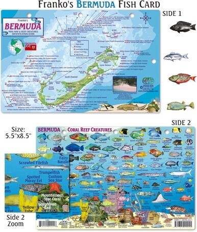 Franko Maps - Bermuda Fish ID