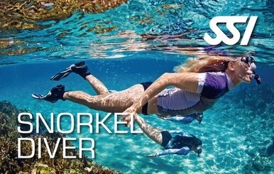 SSI Snorkeling Digital Kit