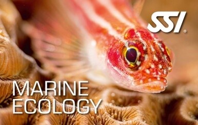 SSI Marine Ecology Digital Kit