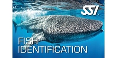 SSI Fish Identification Digital Kit