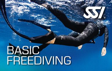 SSI Basic Freediving Digital Kit