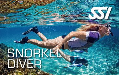 SSI Snorkeling Digital Kit