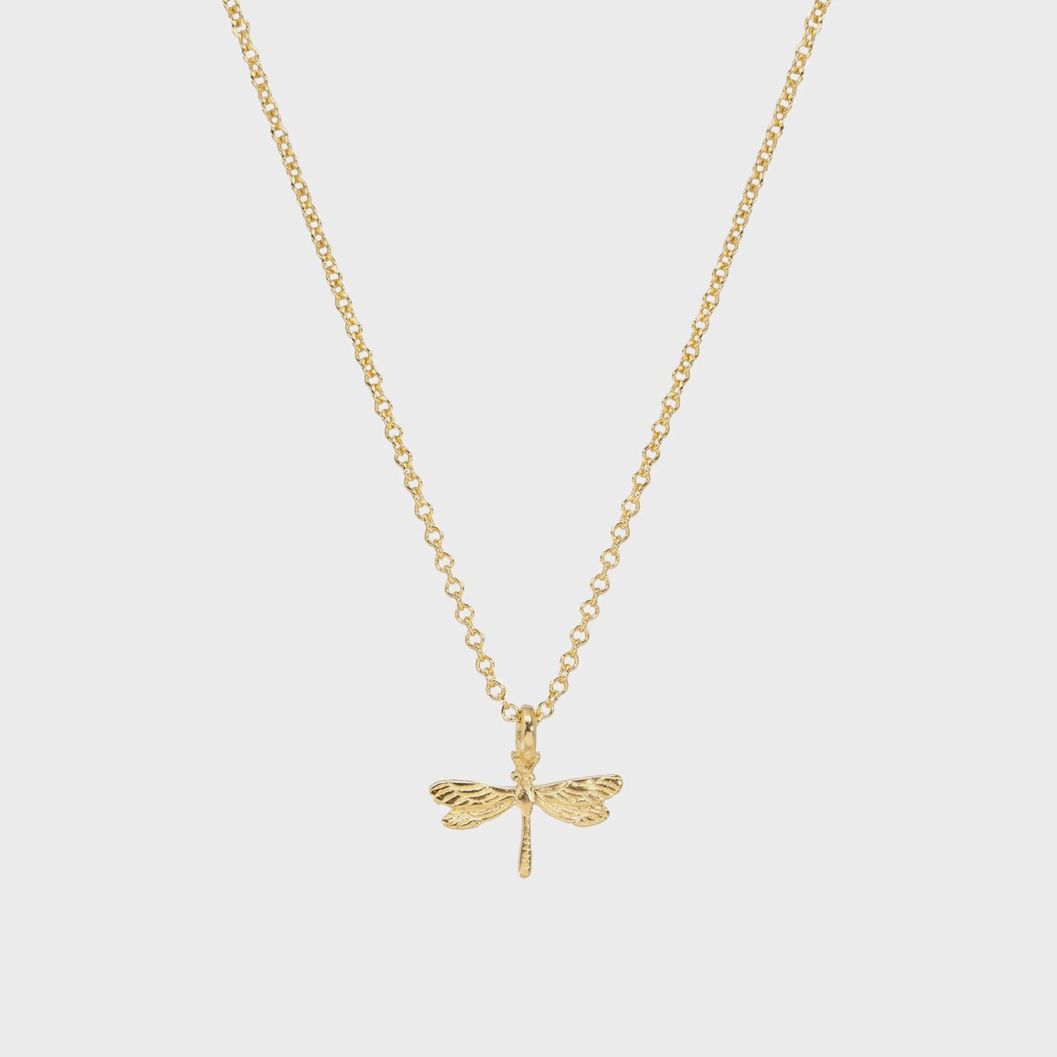 Modern You Make The World A Better Place Dragonfly Necklace