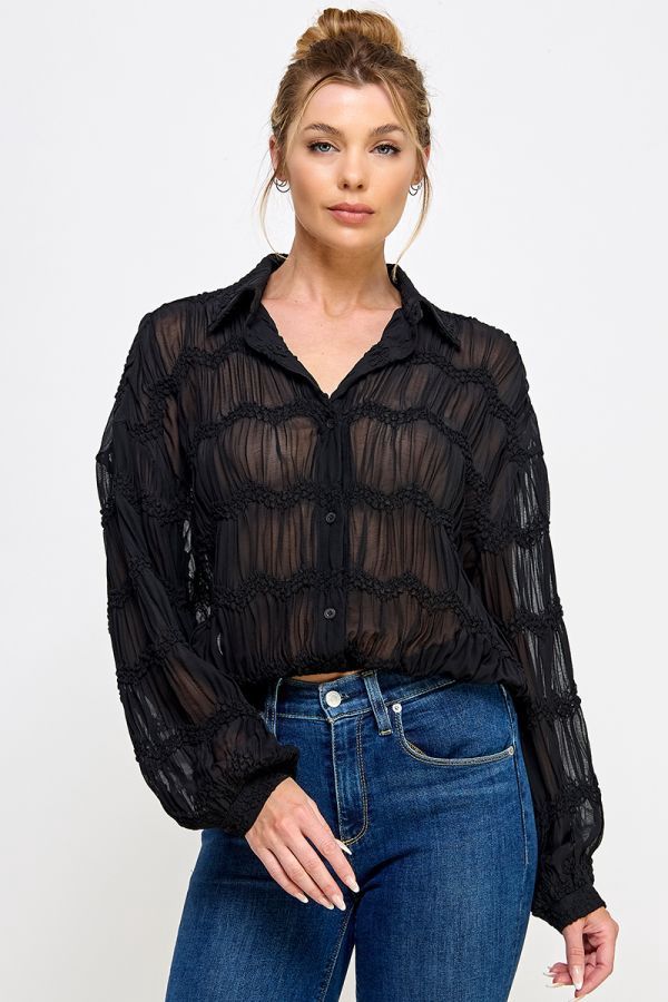 Romantic Sheer Long Sleeve Button Front Blouse