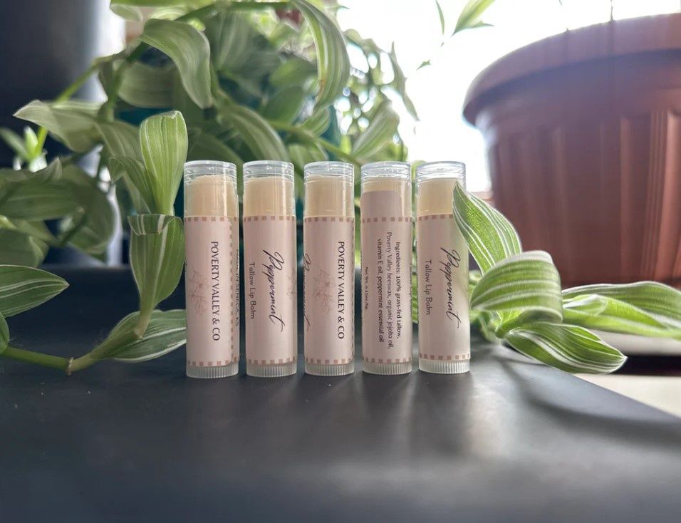 Tallow Lip Balm